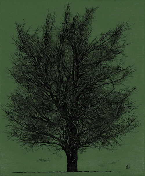 Joichi Hoshi — Tree in Black and Green | Sosaku-hanga Print - 9ArtPrints