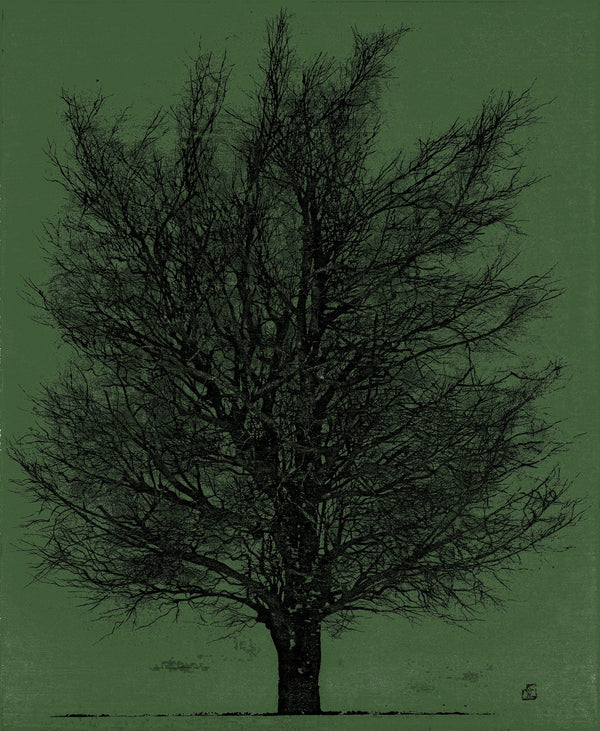 Joichi Hoshi — Tree in Black and Green | Sosaku-hanga Print