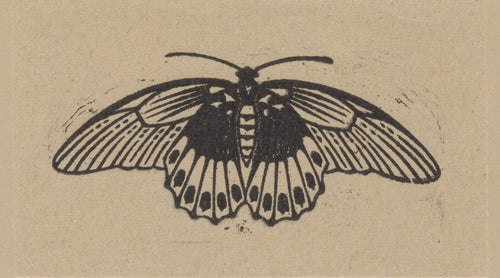 Moth by Julie de Graag — A symmetrical moth spreads wings patterned with dark eyespots