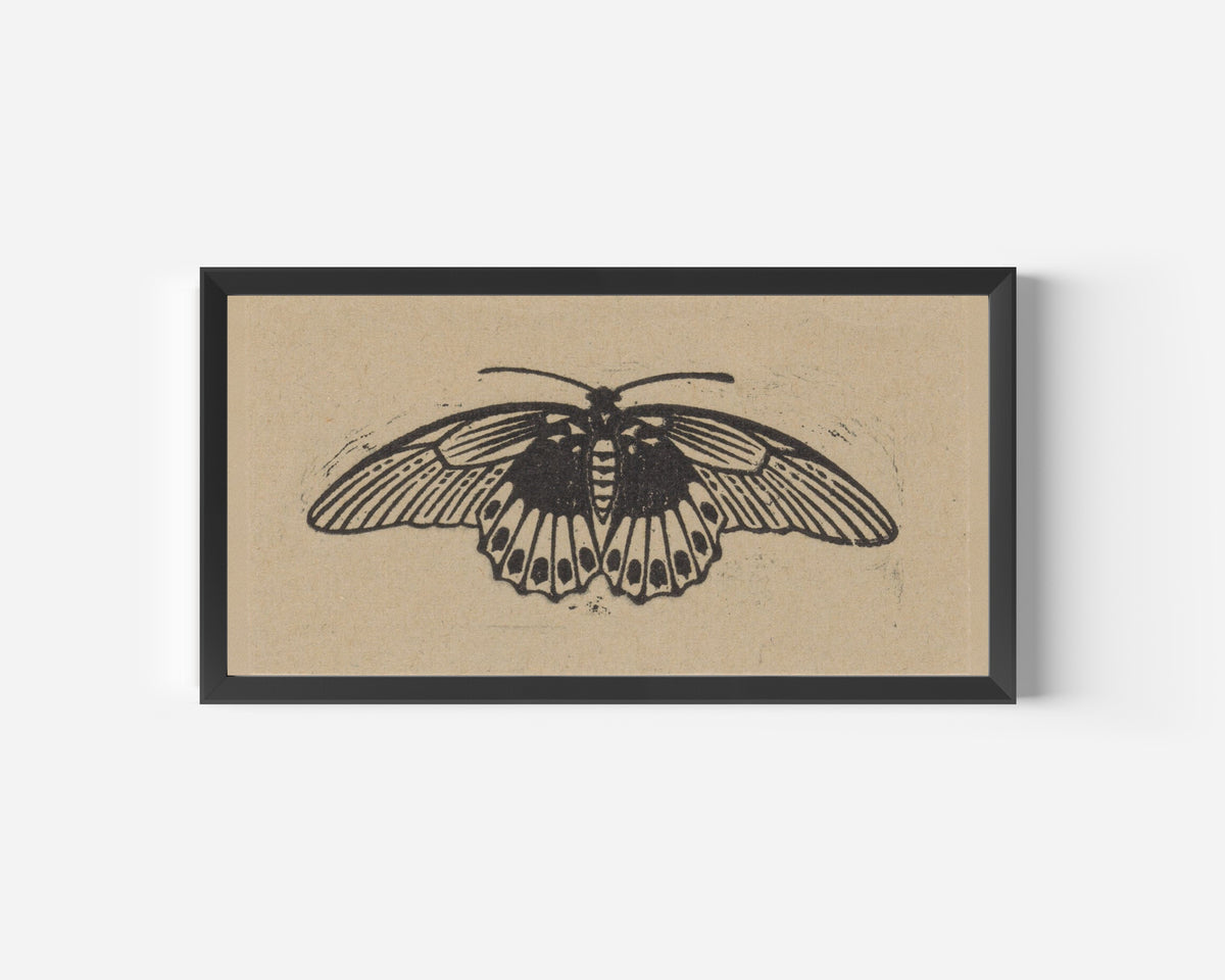 Moth by Julie de Graag — in a wide black frame on a plain white wall