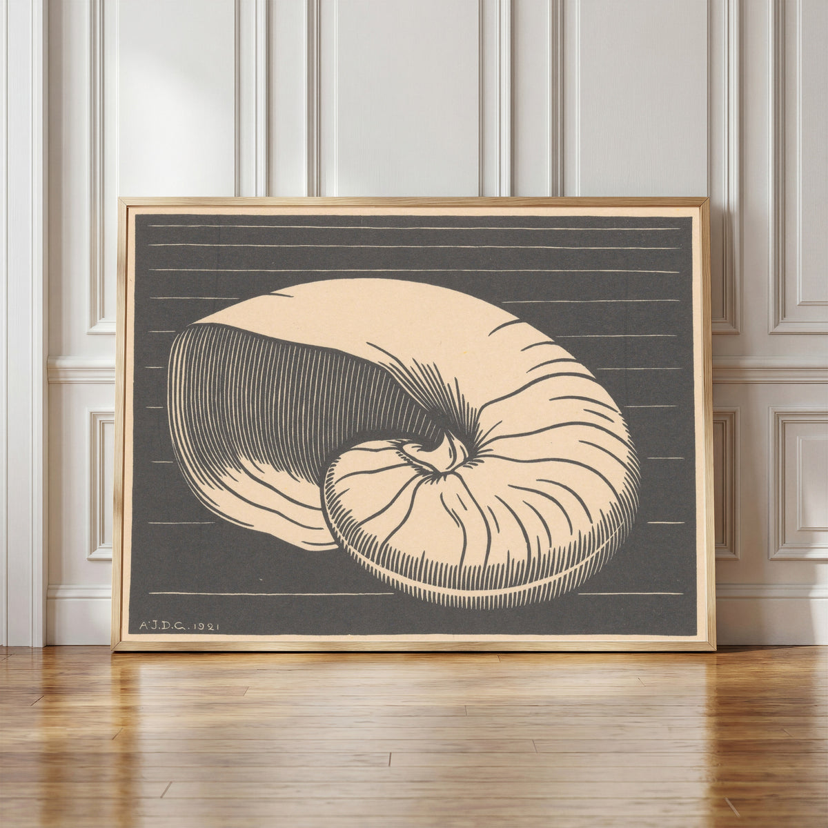 Framed art print of Nautilus Shell by Julie de Graag, in a light wood frame leaning against a panelled white wall