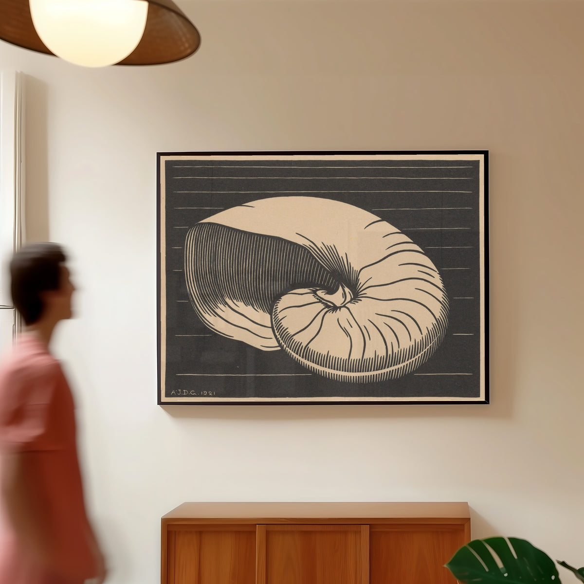 Framed art print of Nautilus Shell by Julie de Graag, in a slim black frame on a warm wall in a sunlit room