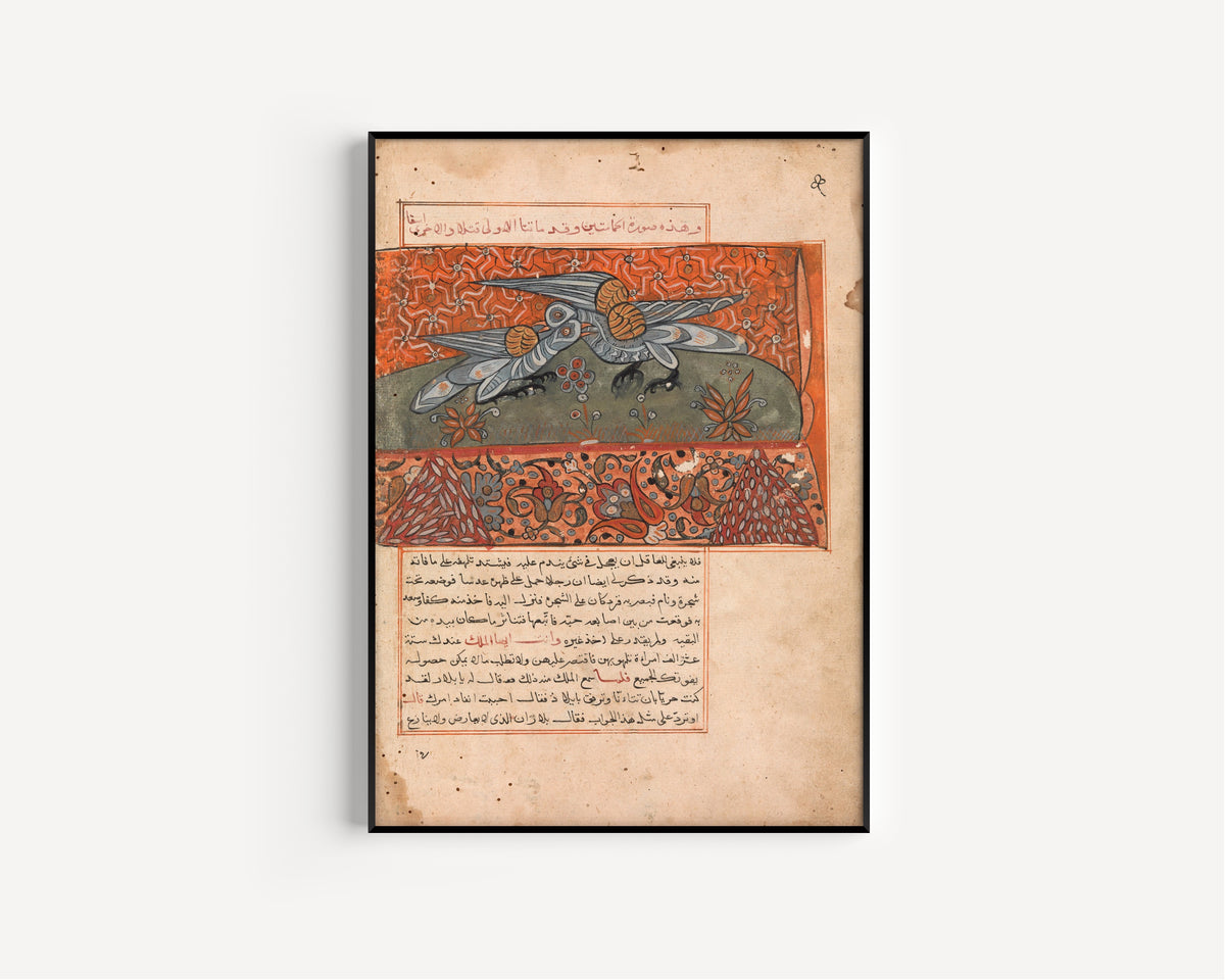 Kalila wa Dimna: The Male Dove Pecking the Female Dove | Islamic Manuscript Painting Print