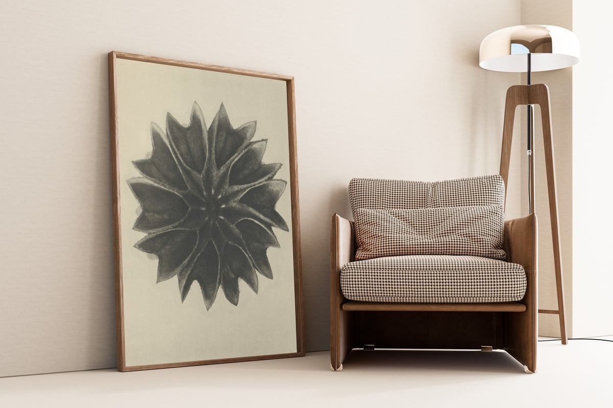 Karl Blossfeldt — Abutilon | Botanical Photograph Print