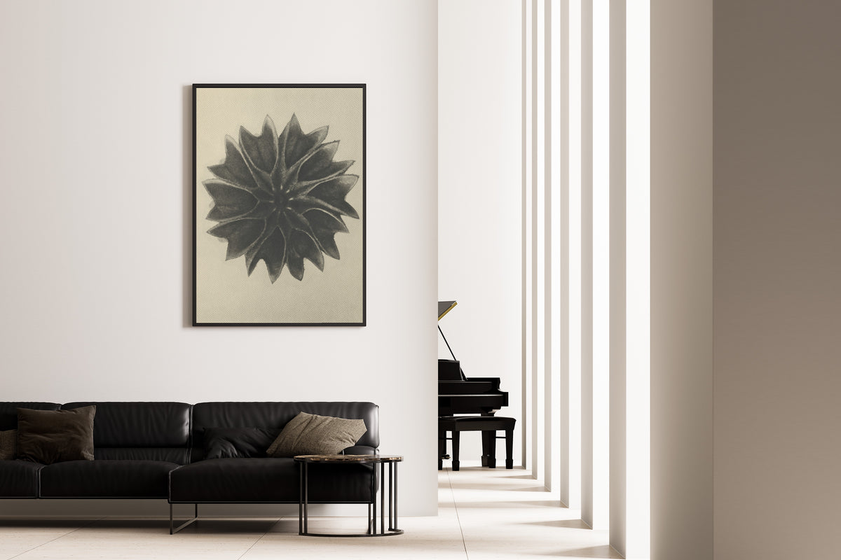 Karl Blossfeldt — Abutilon | Botanical Photograph Print