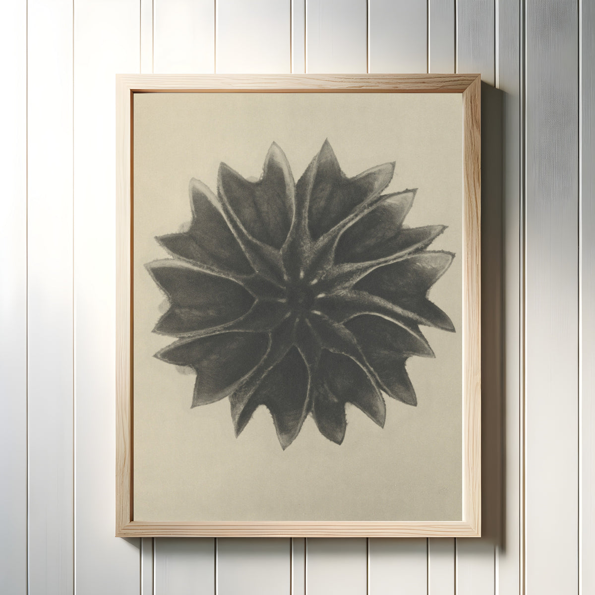 Framed art print of Abutilon by Karl Blossfeldt, in a light wood frame on a white panelled wall