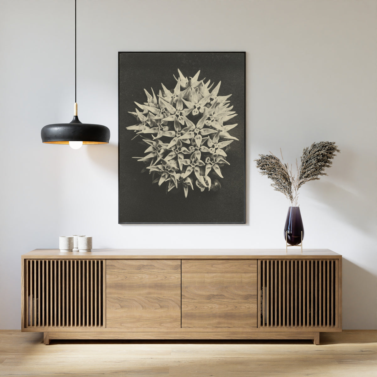 Karl Blossfeldt — Asclepias speciosa | Botanical Photograph Print