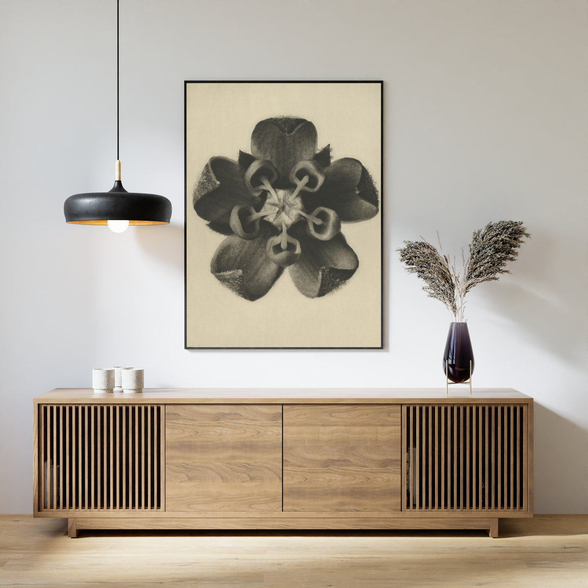 Karl Blossfeldt — Asclepias syriaca | Botanical Photograph Print
