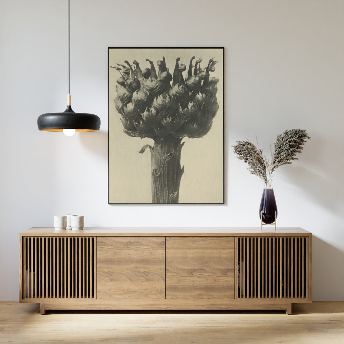 Karl Blossfeldt — Centaurea macrocephala | Botanical Photograph Print