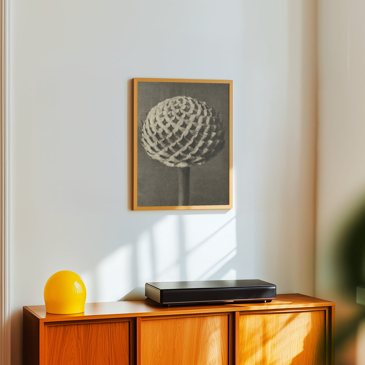 Framed art print of Cephalaria by Karl Blossfeldt, in a light wood frame on a white wall above an orange sideboard