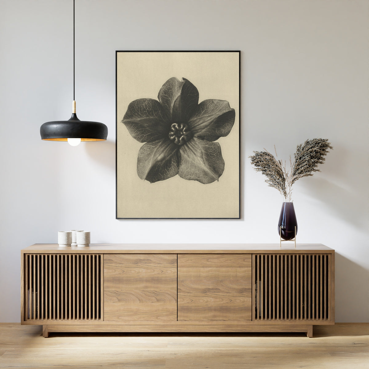 Karl Blossfeldt — Cobaea scandens | Botanical Photograph Print