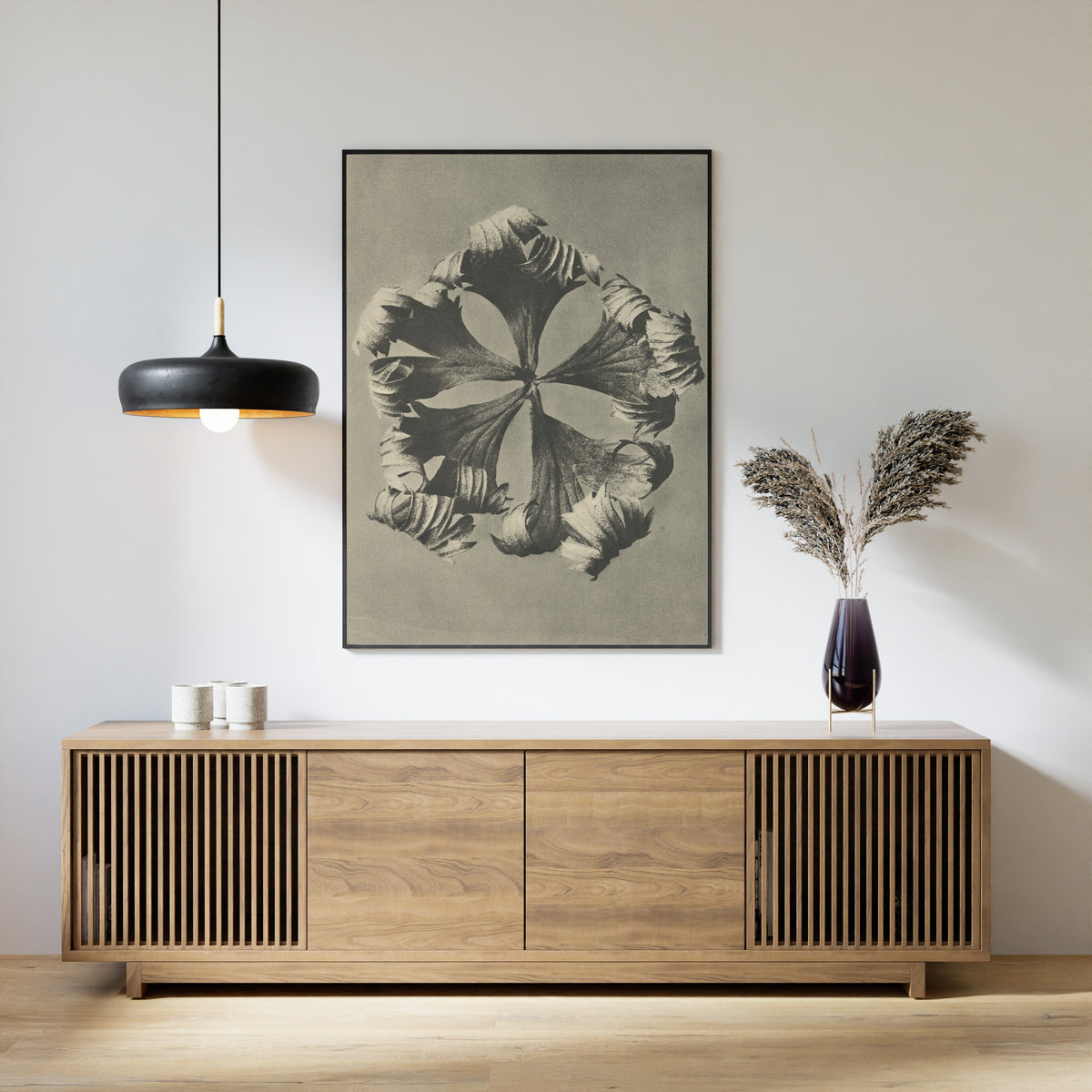 Karl Blossfeldt — Trollius europaeus | Botanical Photograph Print