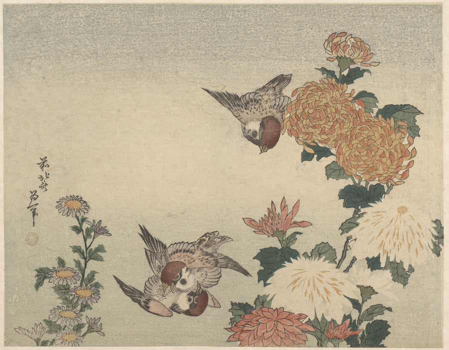 Katsushika Hokusai — Sparrows and Chrysanthemums | Japanese Woodblock Print (Ukiyo-e) shown to scale on a wall above a sofa