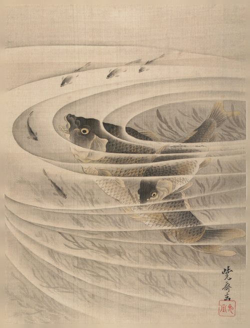 Carp (Koi-zu) by Kawanabe Kyosai — Two carp glide through spiraling rings of grey water