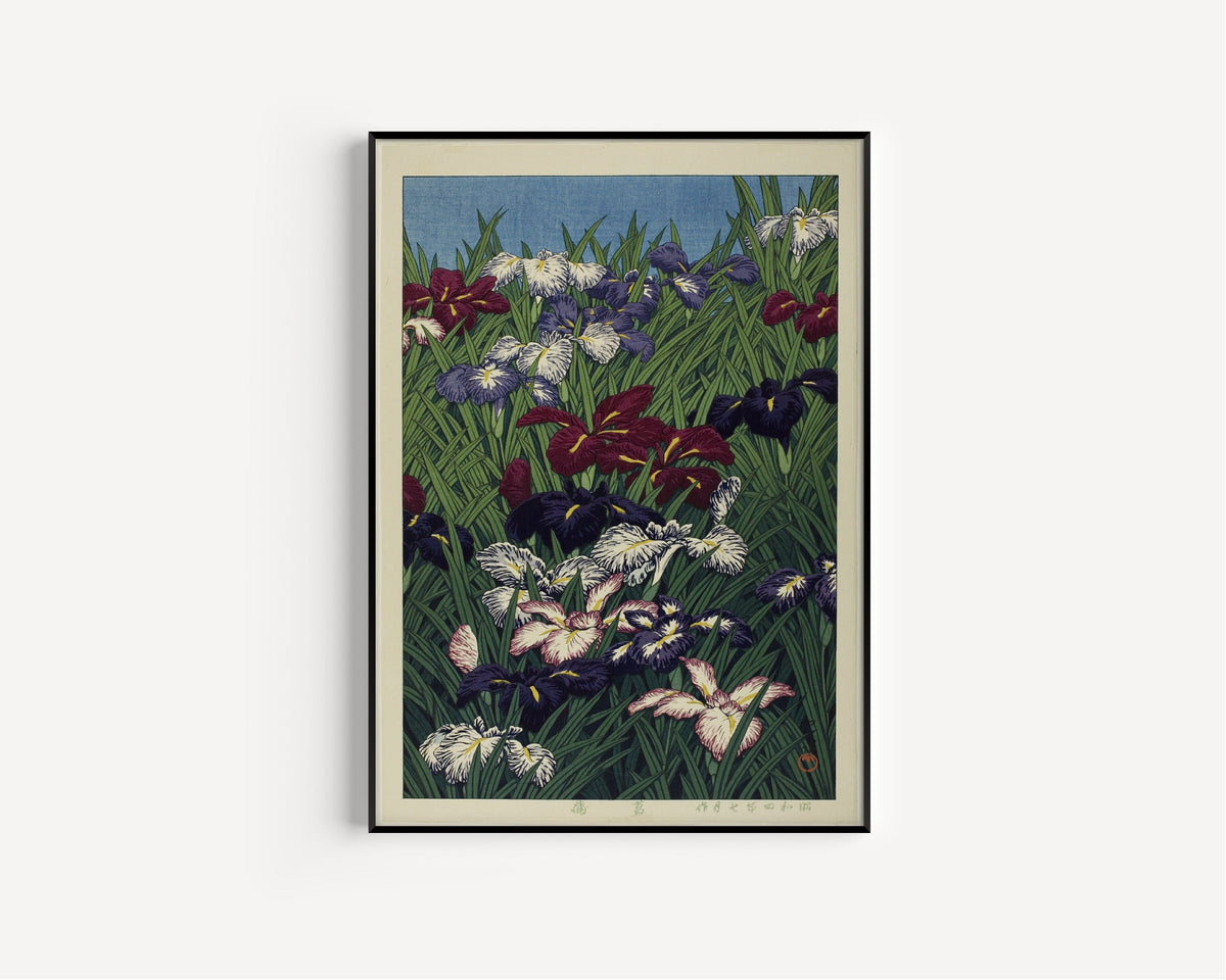 Kawase Hasui — Iris (Ayame) | Japanese Woodblock Print (Shin Hanga) - 9ArtPrints