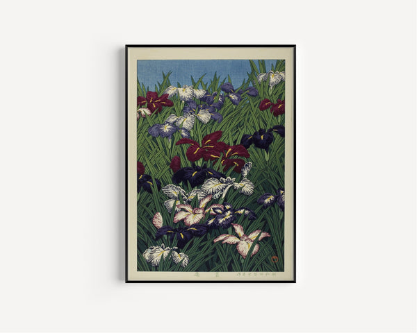 Kawase Hasui — Iris (Ayame) | Japanese Woodblock Print (Shin Hanga)