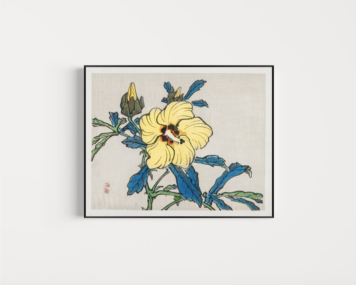 Framed art print of Hibiscus by Kono Bairei, in a slim black frame on a plain white wall