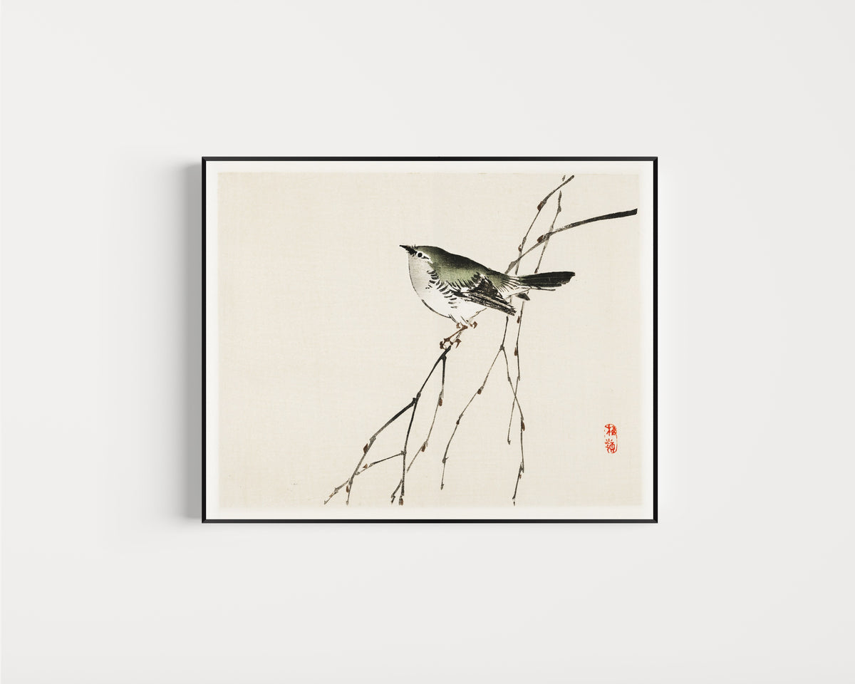 Framed art print of Tit by Kōno Bairei, in a slim black frame on a plain white wall