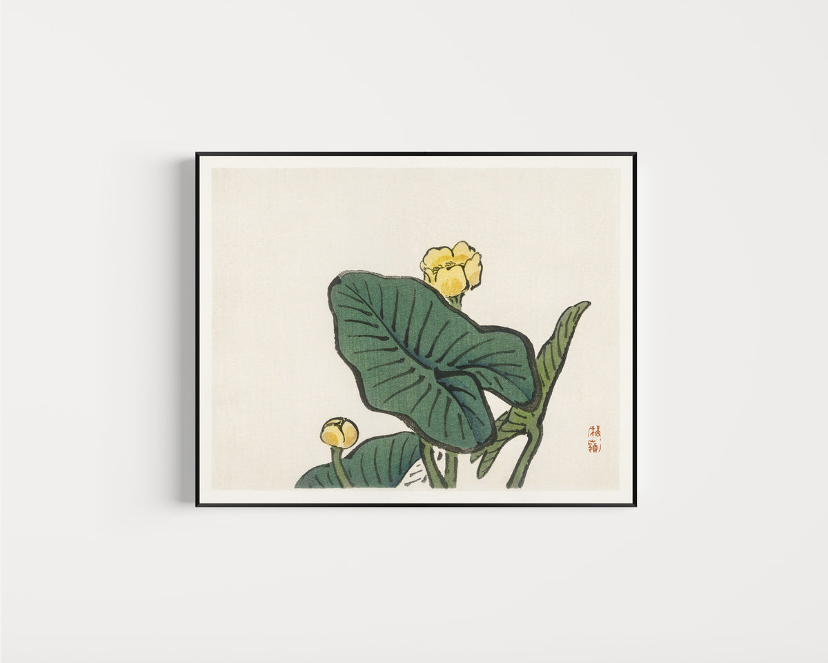 Framed art print of Water-lily (Bairei Gakan) by Kōno Bairei, in a slim black frame on a plain white wall