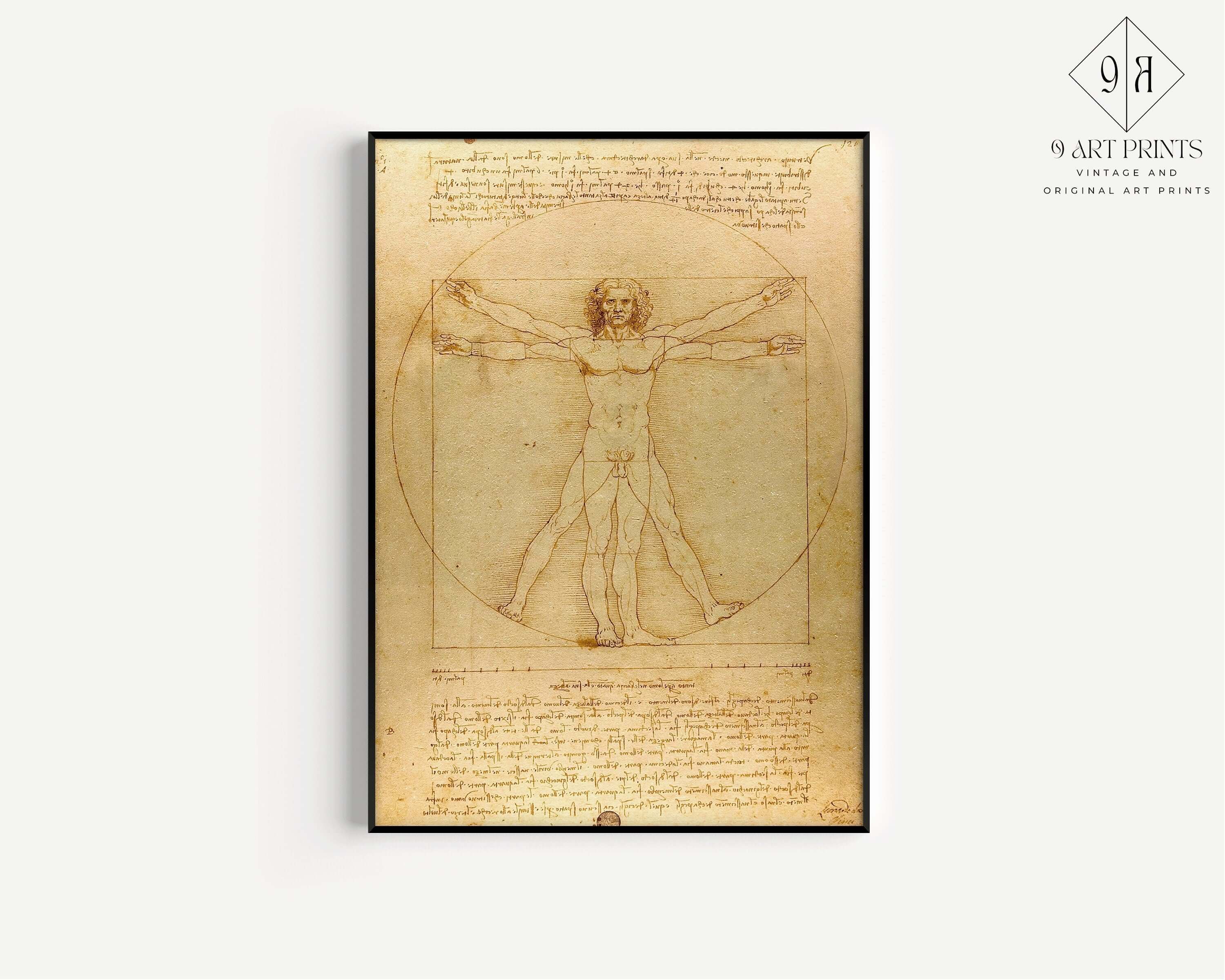 Leonardo Da Vinci - The Vitruvian Man | Iconic Renaissance Painting (available framed or unframed) - 9ArtPrints