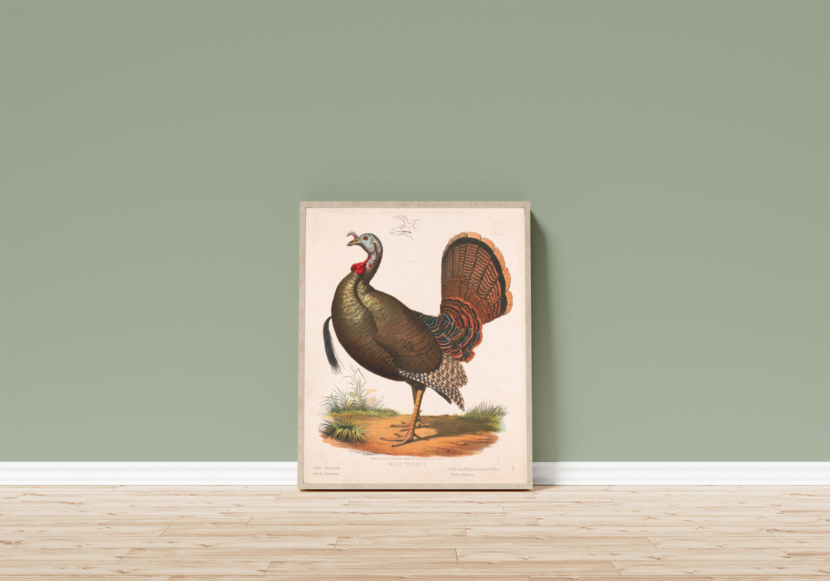 Framed art print of Wild Turkey by Louis Prang & Co., in a light wood frame leaning on a sage green wall above a wooden floor