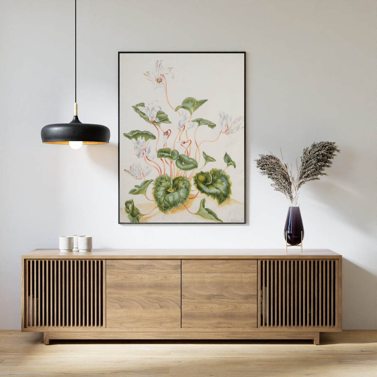 Maria Sibylla Merian — White Cyclamen | Natural History Print