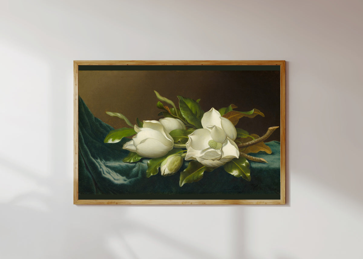 Framed art print of Magnolias on Light Blue Velvet Cloth by Martin Johnson Heade, in a light wood frame on a sunlit white wall