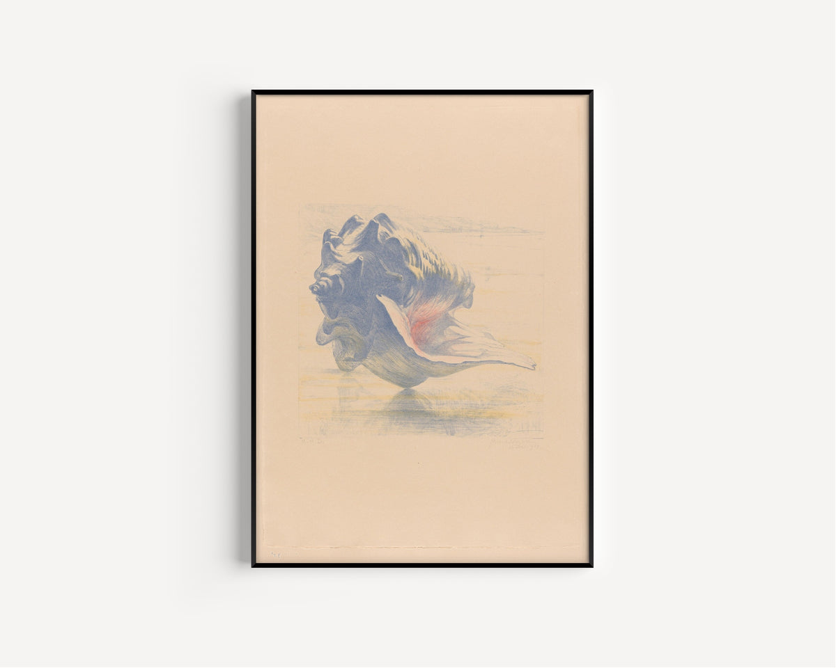 Seashell Art Print: Maurits van der Valk, Beige and Blue - 9ArtPrints