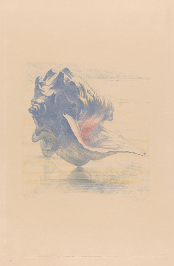 Maurits van der Valk — Seashells | Fine Art Print
