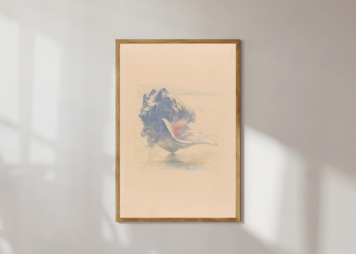 Framed art print of Seashells by Maurits van der Valk, in a light wood frame on a sunlit white wall