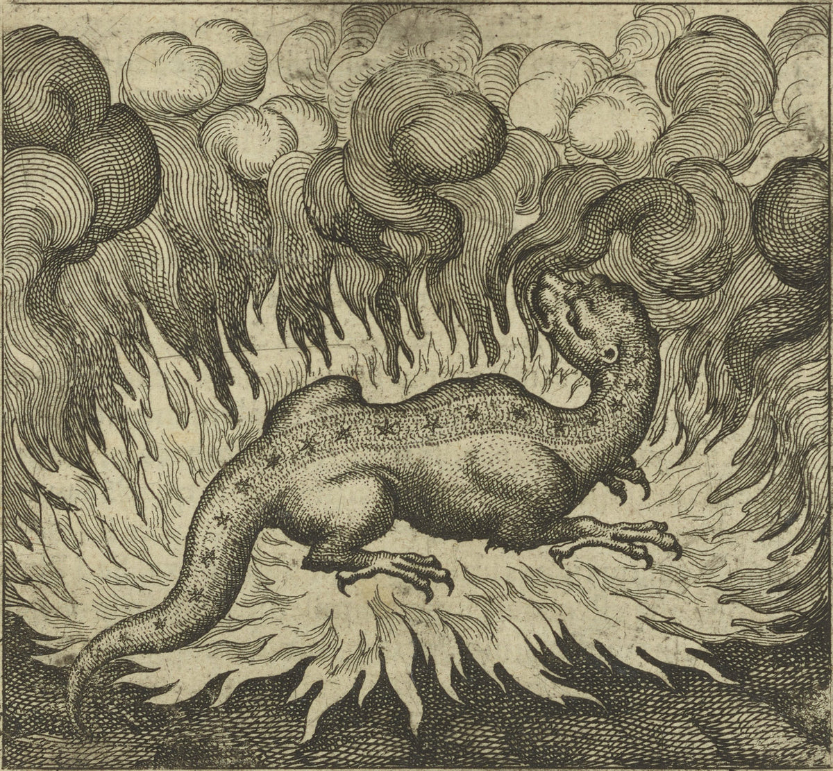 Atalanta Fugiens, Emblem 29: As the Salamander Lives in Fire, So Does the Stone by Michael Maier — A star-spotted salamander lies at the heart of the flames