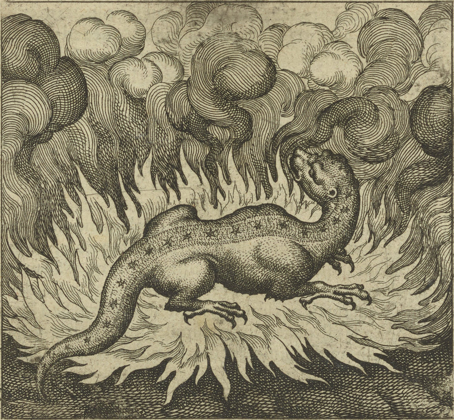 Michael Maier — Atalanta Fugiens, Emblem 29: As the Salamander Lives in Fire, So Does the Stone | Alchemical Engraving Print shown to scale on a wall above a sofa