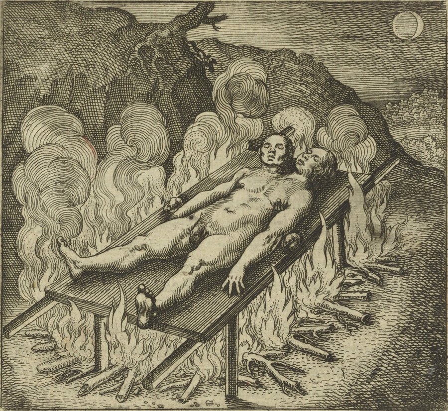 Michael Maier — Atalanta Fugiens, Emblem 33: The Hermaphrodite, Lying Like a Dead Man in Darkness, Needs Fire | Alchemical Engraving Print shown to scale on a wall above a sofa