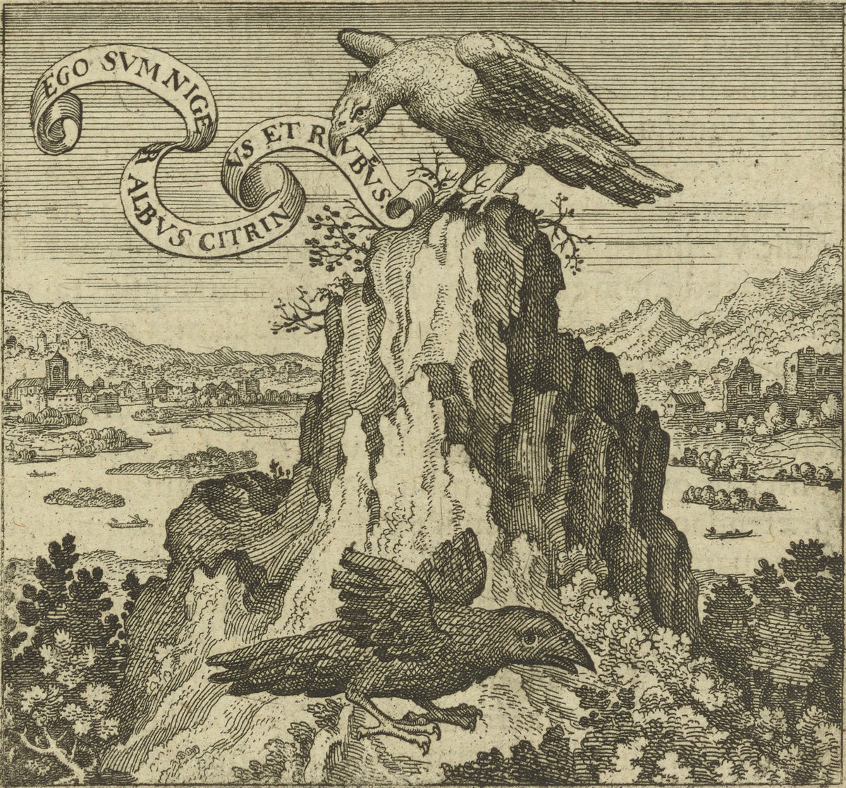 Michael Maier — Atalanta Fugiens, Emblem 43: Listen to the Talkative Vulture, Who Does Not Deceive You | Alchemical Engraving Print