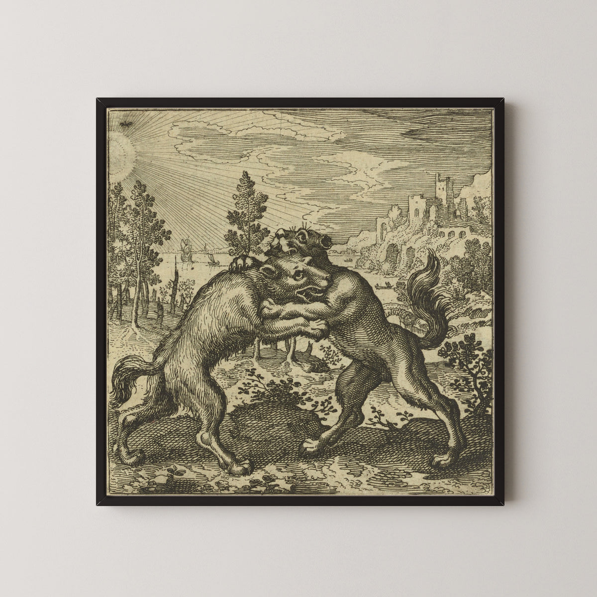 Framed art print of Atalanta Fugiens, Emblem 47: A Wolf Coming from the East and a Dog from the West Bit One… by Michael Maier, in a black frame on a pale wall