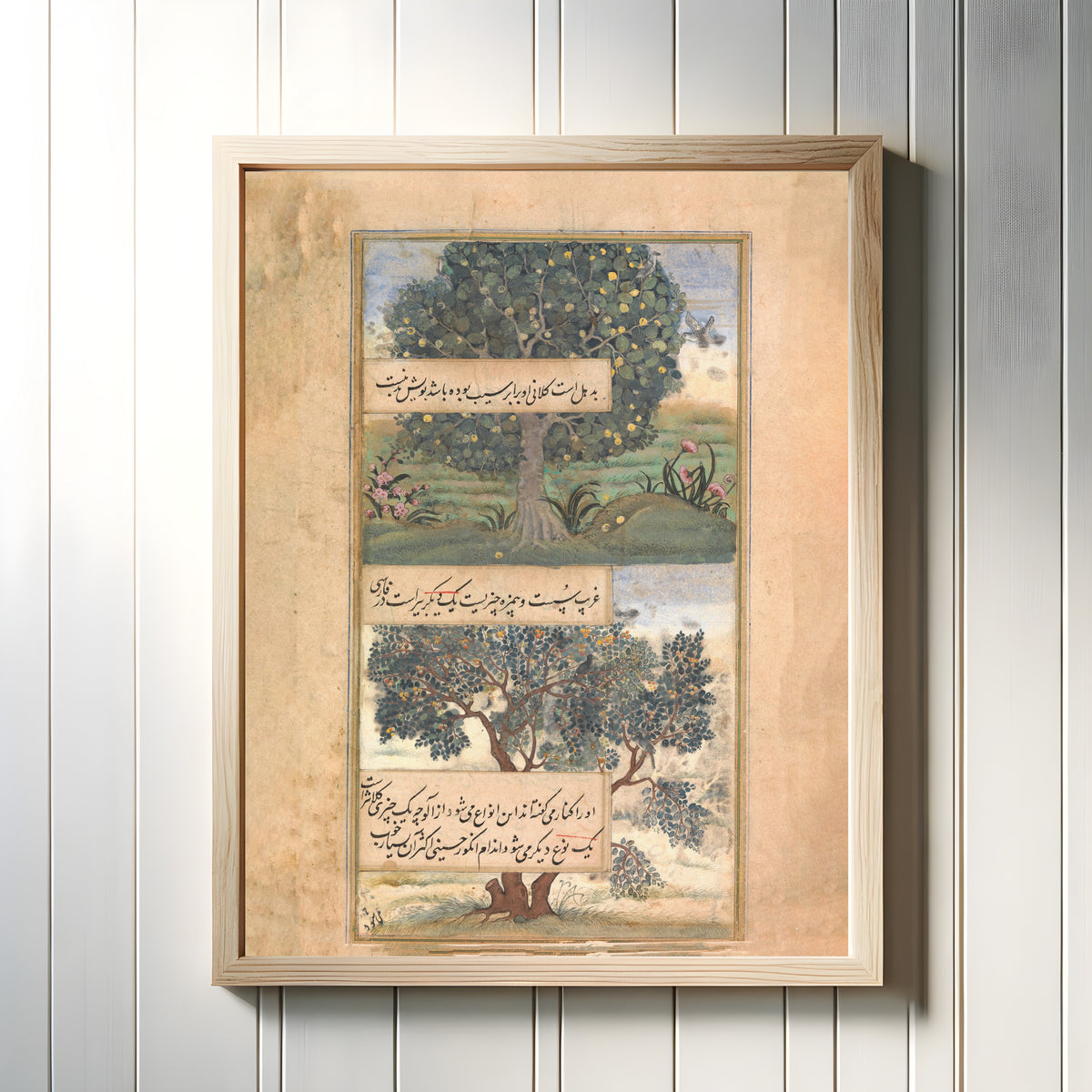 Framed art print of Three Trees of India, in a light wood frame on a white panelled wall