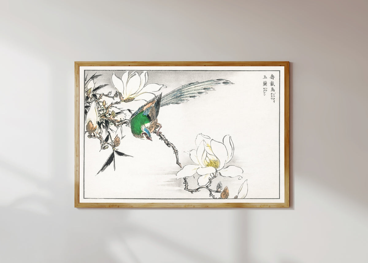 Framed art print of Asian Paradise Flycatcher and White Magnolia by Numata Kashū, in a light wood frame on a sunlit white wall