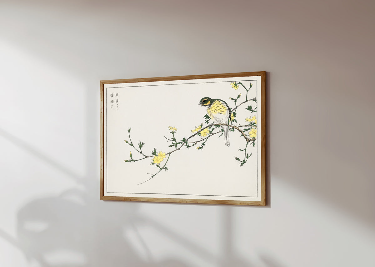 Framed art print of Black-faced Bunting and Winter Jasmine by Numata Kashū, in a light wood frame on a sunlit white wall, seen at a slight angle