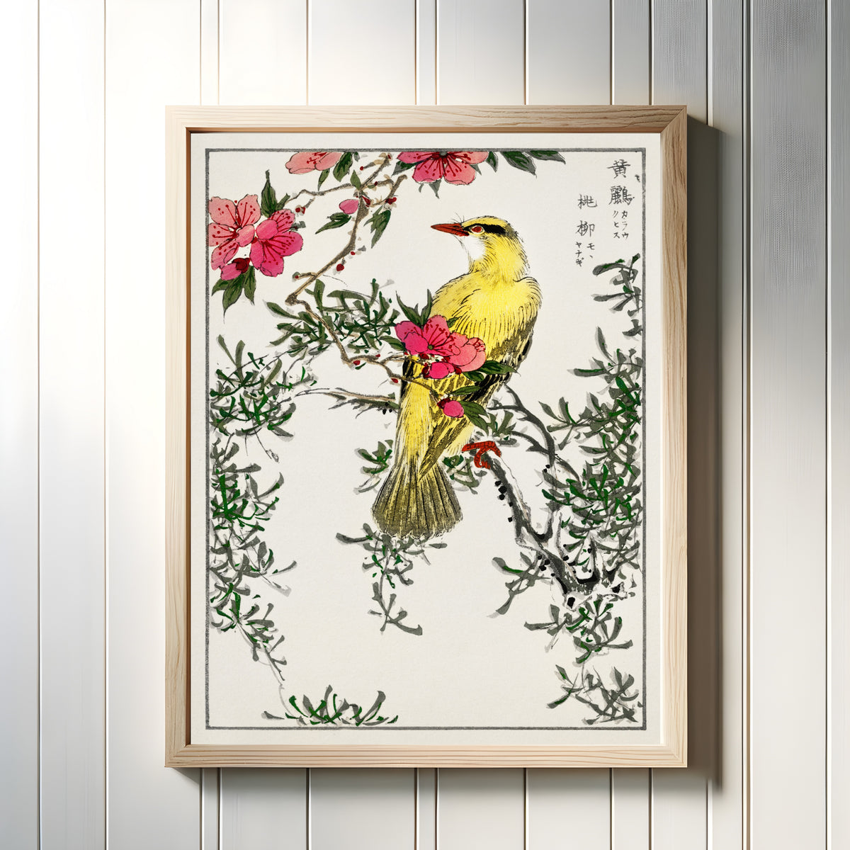 Framed art print of Black-naped Oriole with Peach and Willow by Numata Kashū, in a light wood frame on a white panelled wall