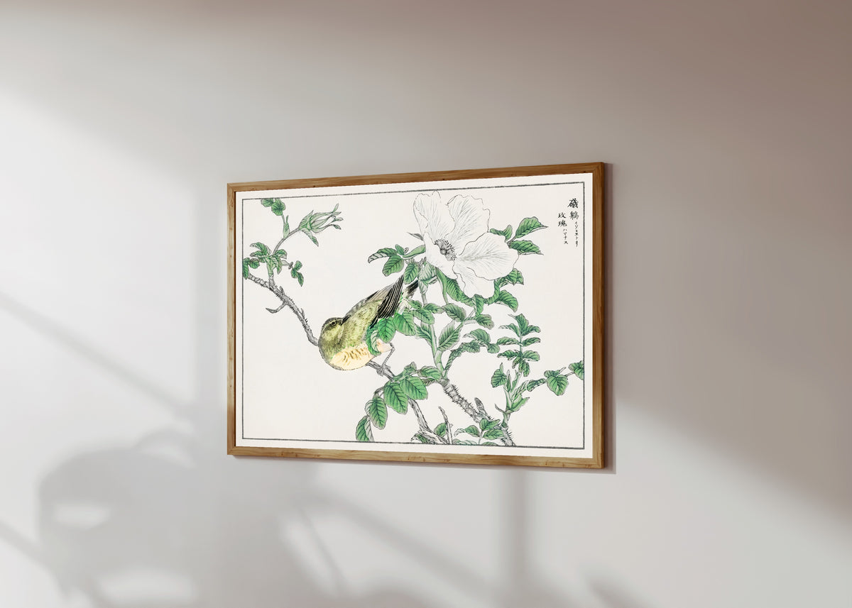 Framed art print of Brown-eared Bulbul and Rosa Rugosa by Numata Kashū, in a light wood frame on a sunlit white wall, seen at a slight angle