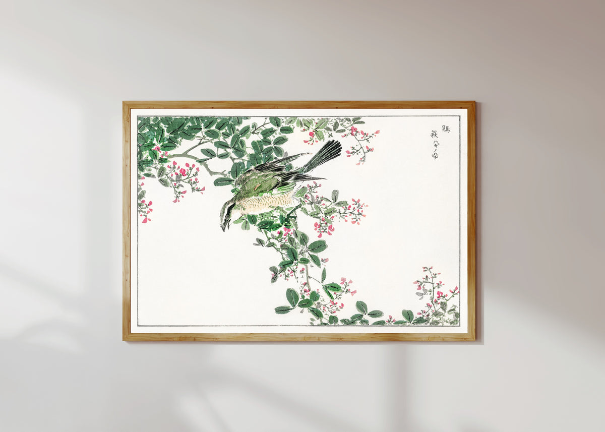 Framed art print of Bull-headed Shrike and Bush Clover by Numata Kashū, in a light wood frame on a sunlit white wall