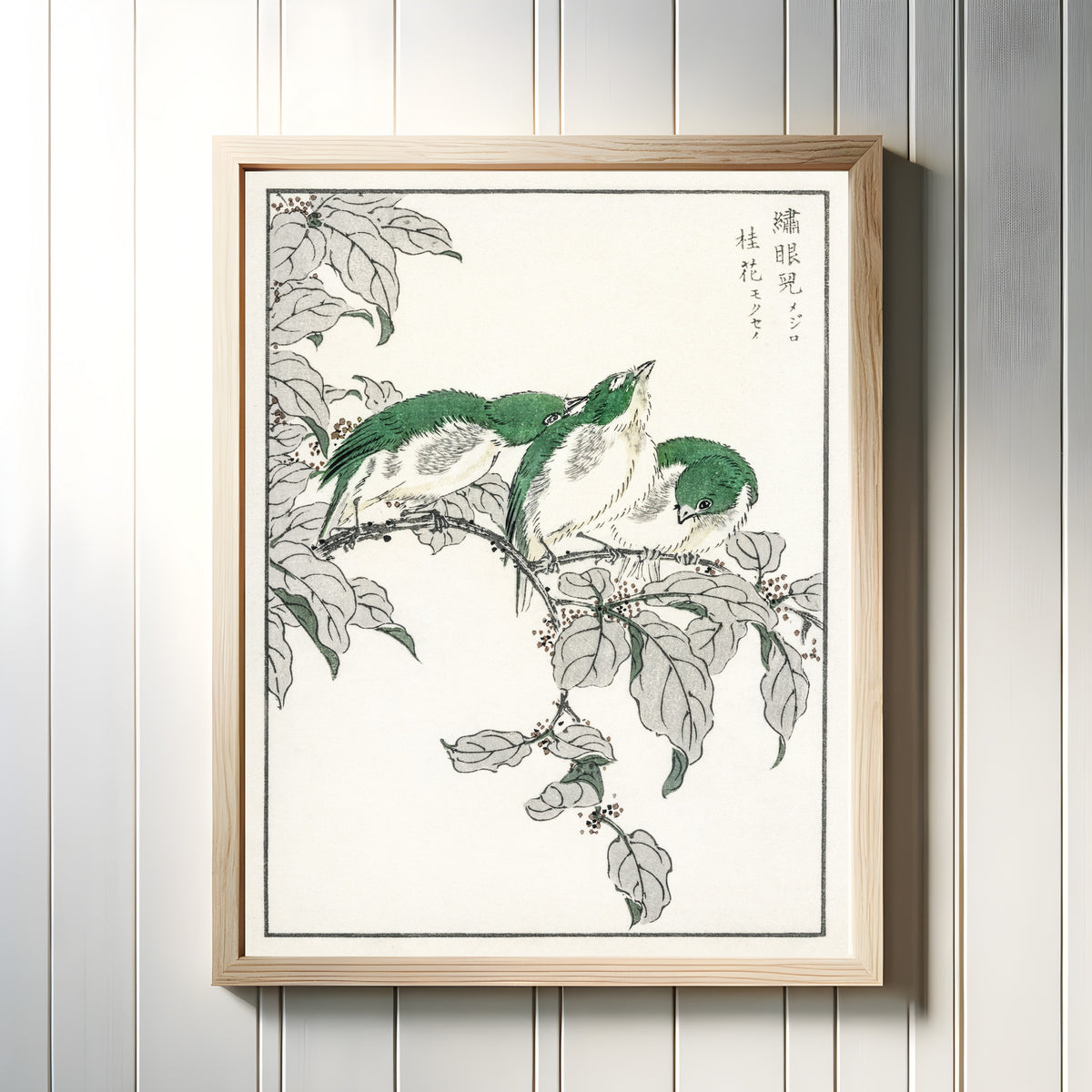 Framed art print of Japanese White-eye and Osmanthus Fragrans by Numata Kashū, in a light wood frame on a white panelled wall