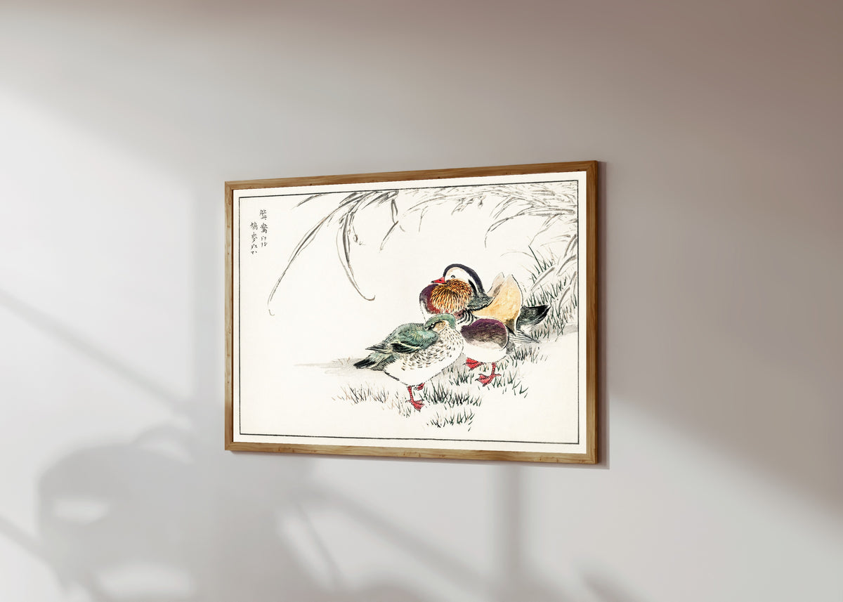 Framed art print of Mandarin Duck and Pearl Barley by Numata Kashū, in a light wood frame on a sunlit white wall, seen at a slight angle