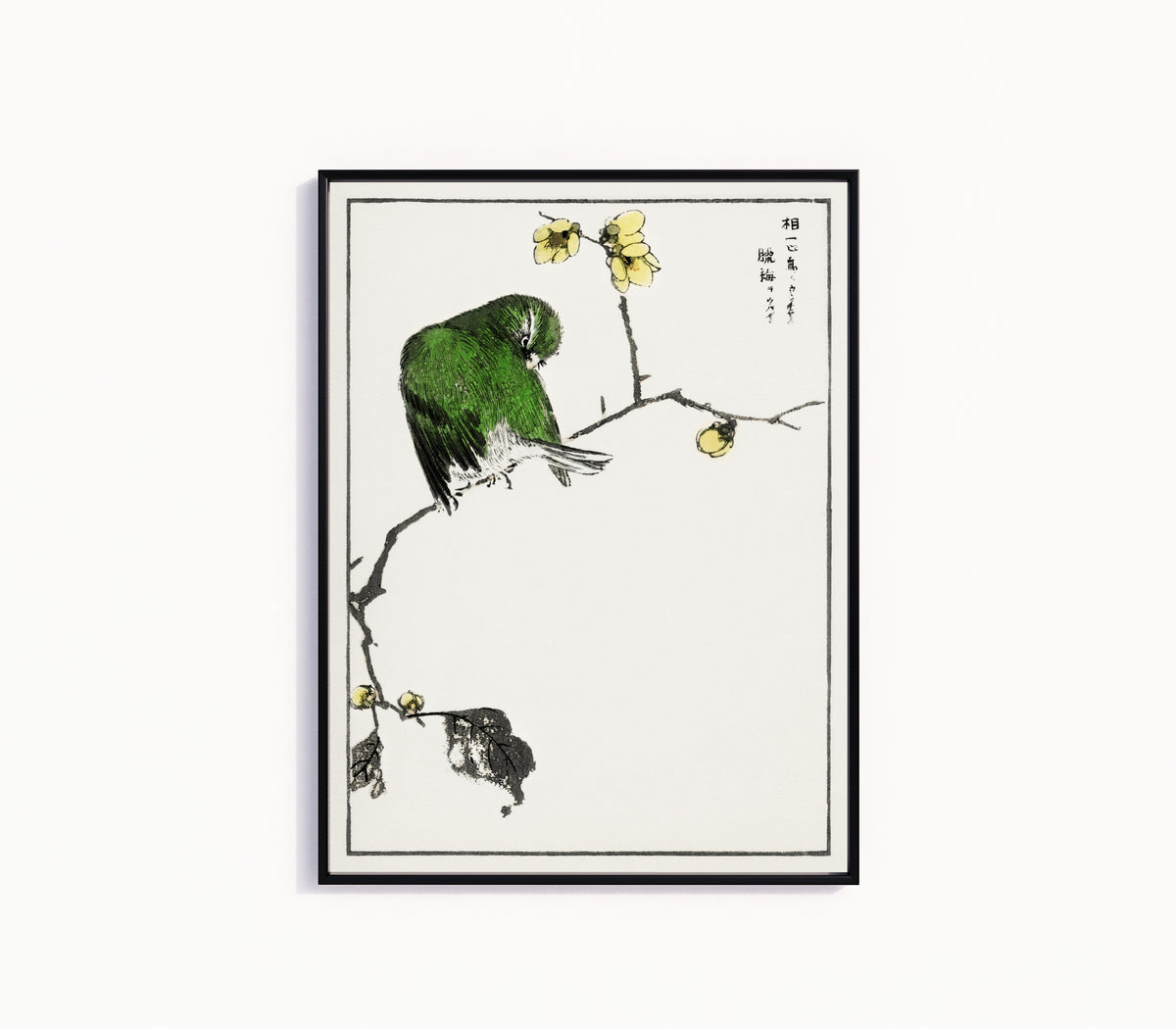 Framed art print of Red-billed Leiothrix and Wintersweet by Numata Kashū, in a slim black frame on a plain white wall