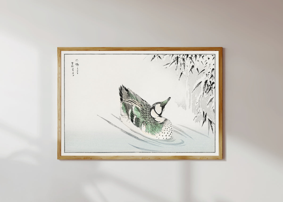 Numata Kashū — Spectacled Teal and Snow-bent Bamboo | Japanese Bird & Flower Woodblock Print