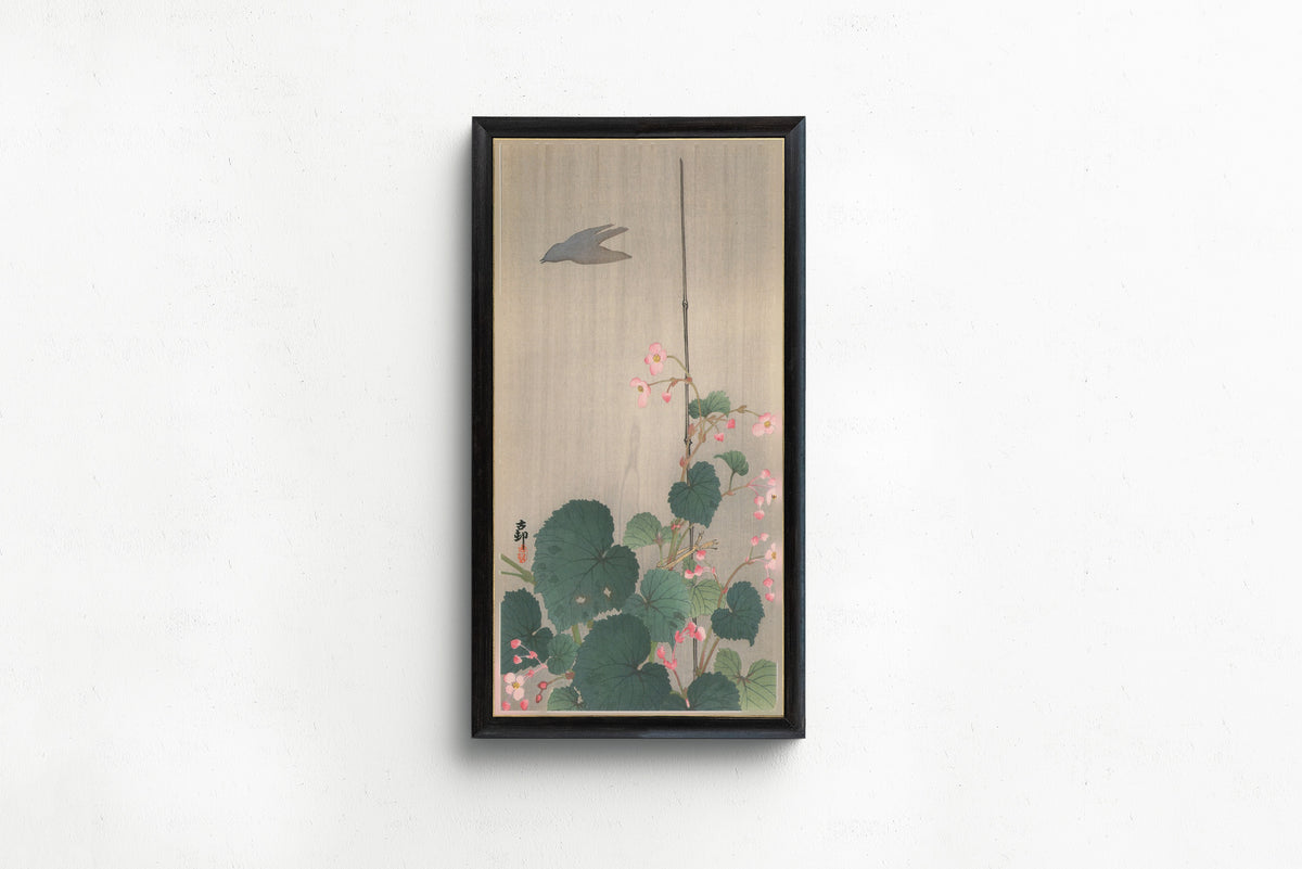 Begonia in Rain with Bird Shadow by Ohara Koson — shown framed on a wall
