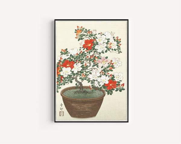 Ohara Koson — Blooming Azalea in Brown Pot | Japanese Bird & Flower Woodblock Print