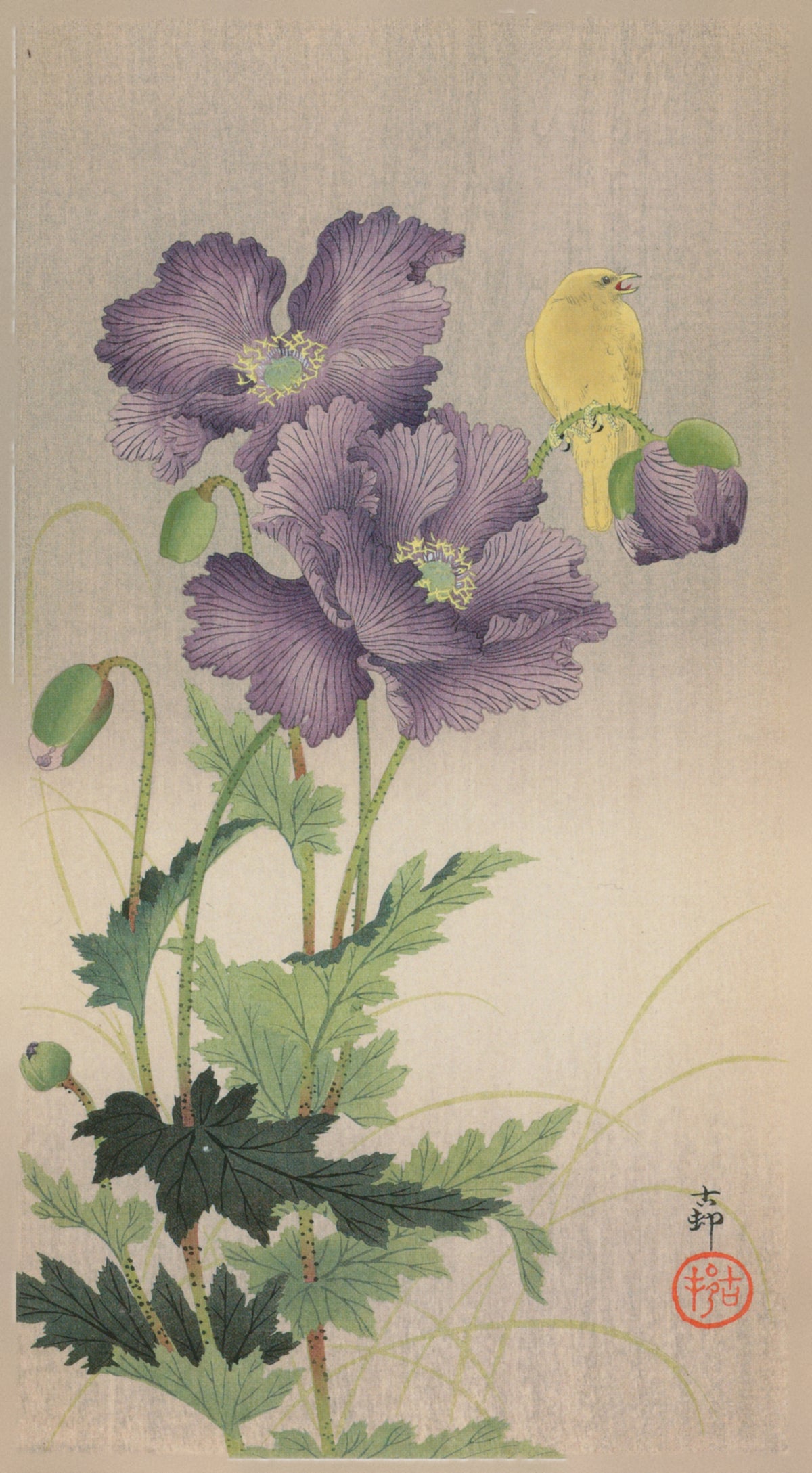 Canary and Poppies by Ohara Koson — A yellow canary sings on a drooping poppy bud