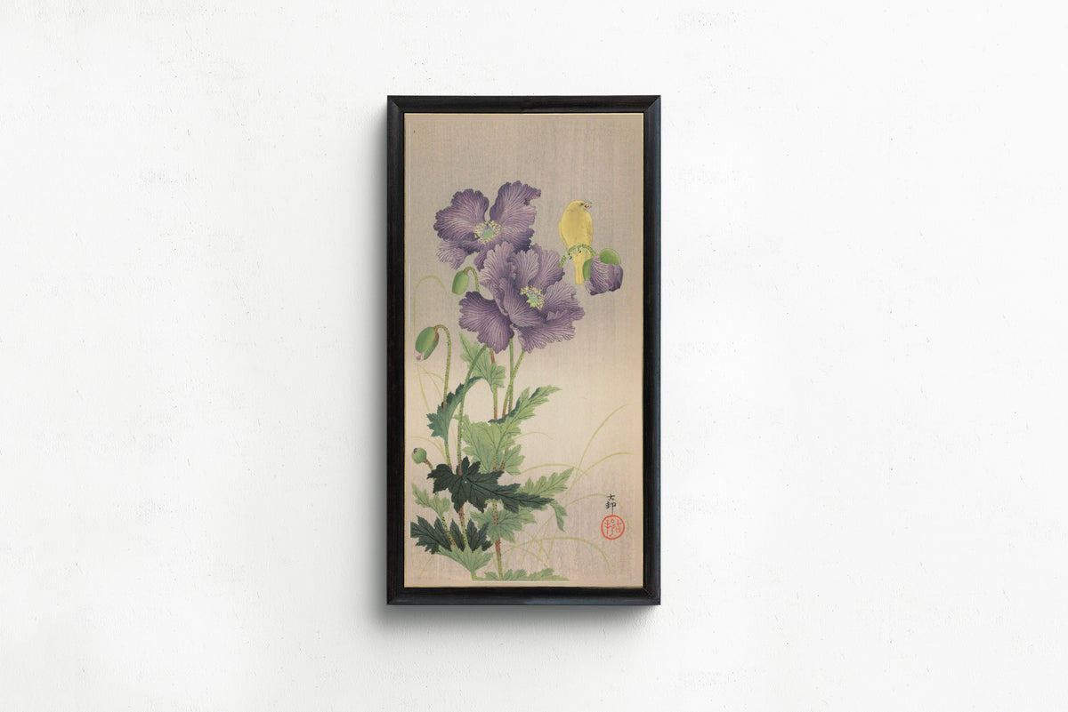 Canary and Poppies by Ohara Koson — shown framed on a wall