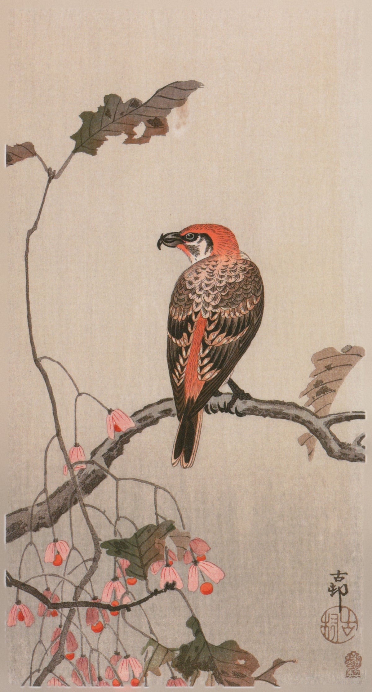 Crossbill and Begonia by Ohara Koson — A crossbill looks back from a branch above split seed husks